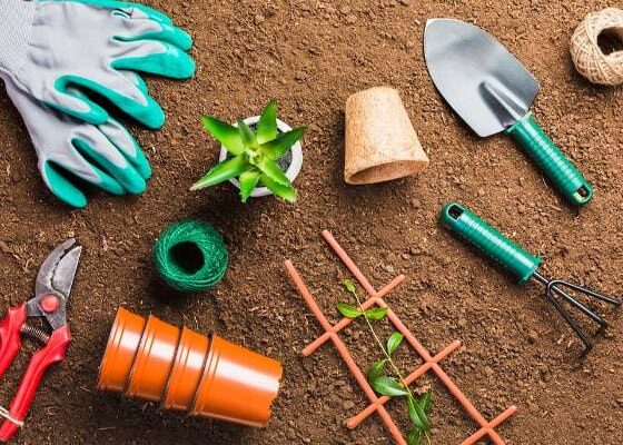 what-tools-must-you-have-in-your-garden-shed
