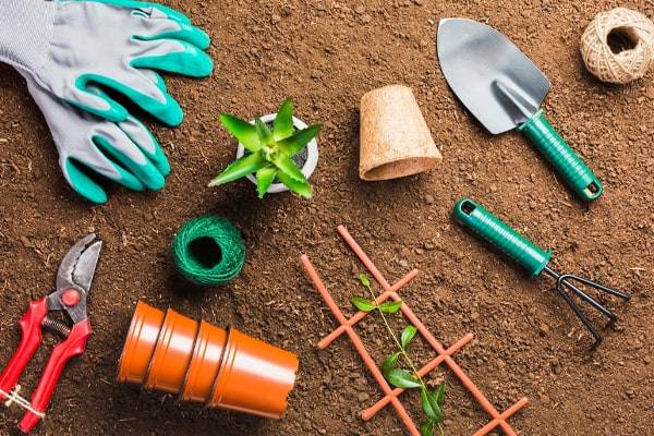 what-tools-must-you-have-in-your-garden-shed